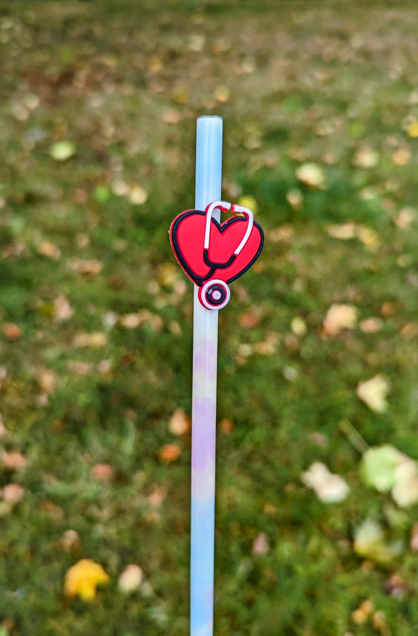Heart Charm