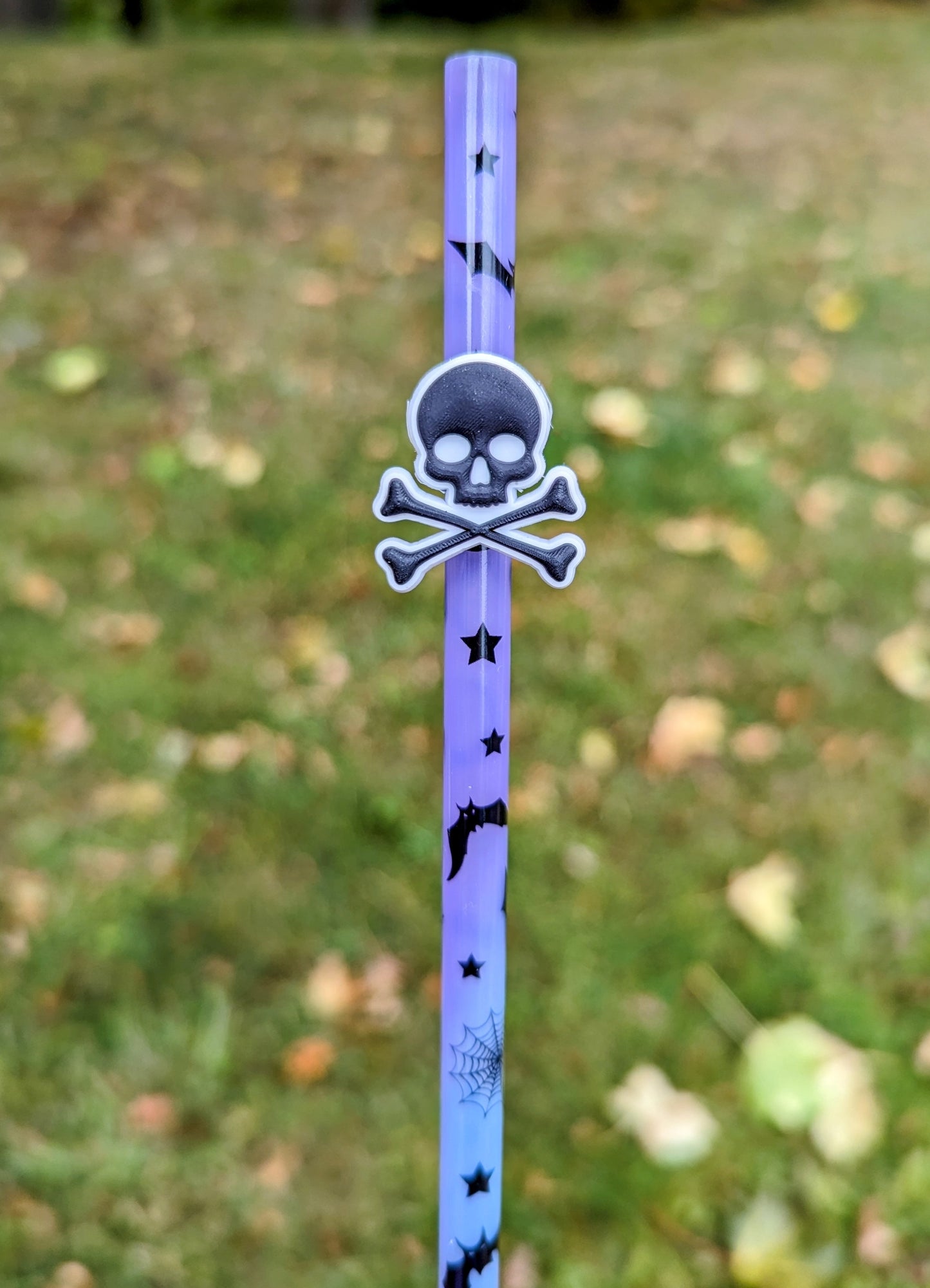 Skull Charm